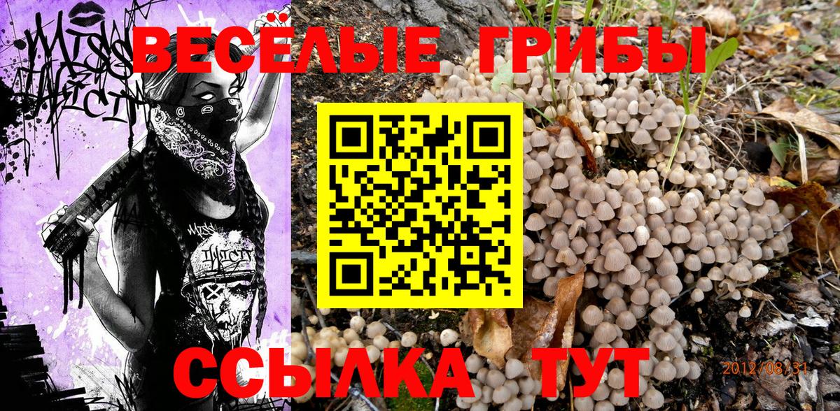 Галлюциногенные грибы ЛСД  закладки  Вход с VPN  Кудымкар  Псилоцибиновые грибы Cubensis 