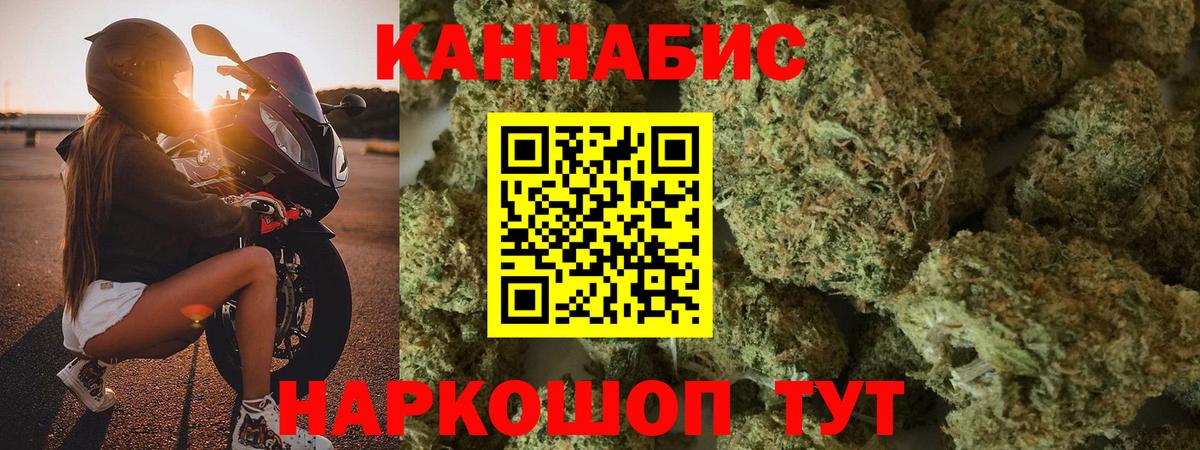 Конопля гибрид Кудымкар